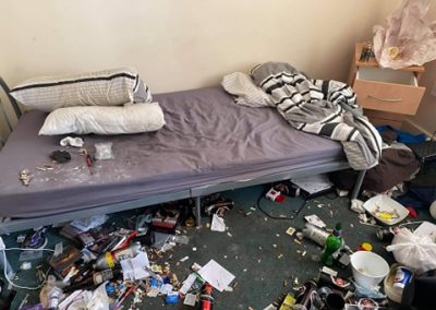 environmental cleaning